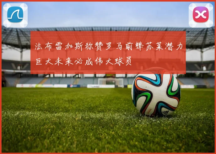 法布雷加斯称赞罗马前锋苏莱潜力巨大未来必成伟大球员