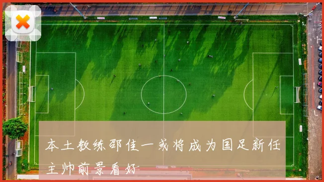 本土教练邵佳一或将成为国足新任主帅前景看好