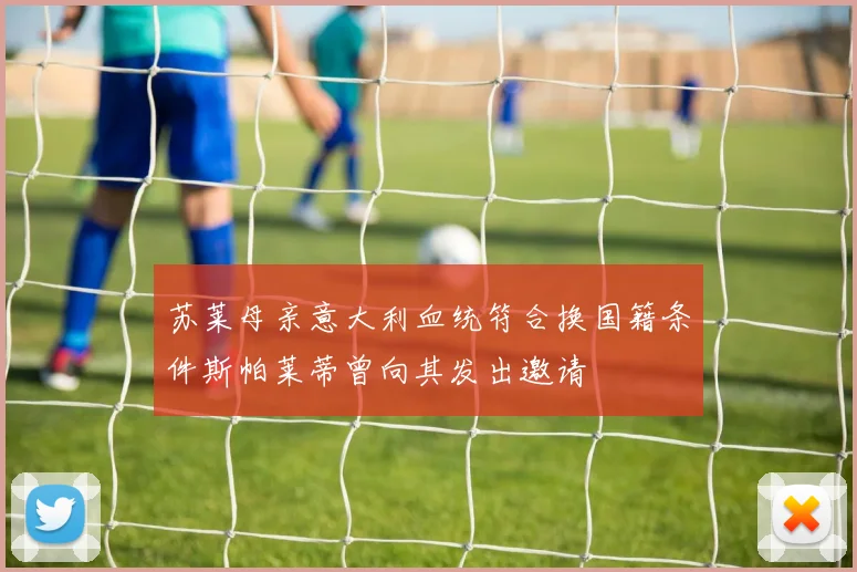 苏莱母亲意大利血统符合换国籍条件斯帕莱蒂曾向其发出邀请