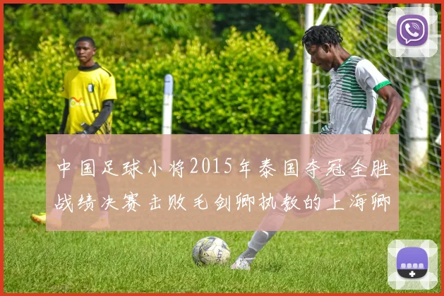 中国足球小将2015年泰国夺冠全胜战绩决赛击败毛剑卿执教的上海卿训