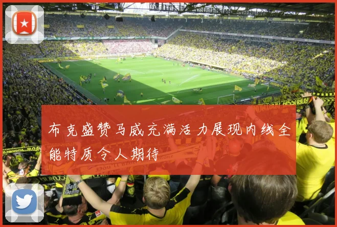 布克盛赞马威充满活力展现内线全能特质令人期待