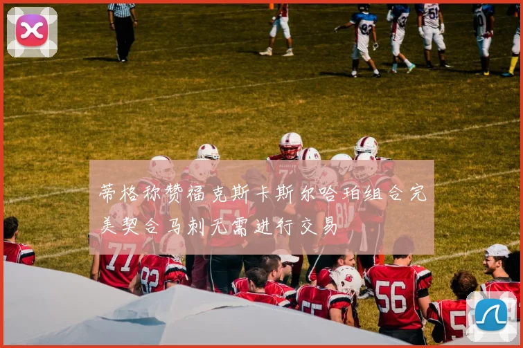 蒂格称赞福克斯卡斯尔哈珀组合完美契合马刺无需进行交易