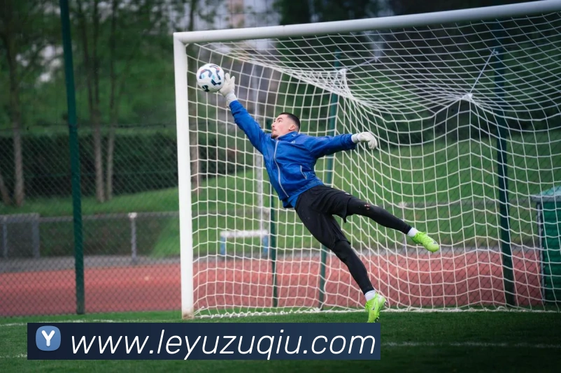 乐鱼足球APP 高清赛事图