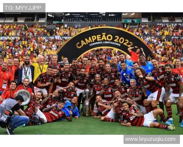 巴西足球盛事帕尔梅拉斯与弗拉门戈争夺南美解放者杯冠军